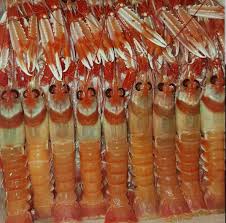 Cigalas