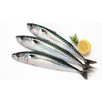 Caballa
