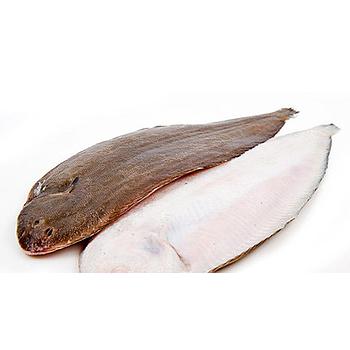 Lenguado