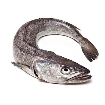 Merluza