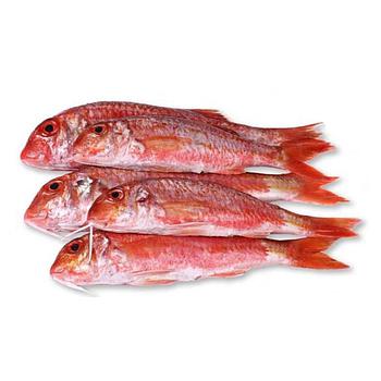 Salmonete