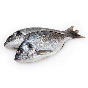 Dorada o zapatilla
