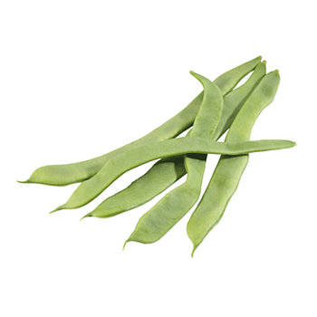 Judía verde malla 500 gr