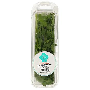 Cilantro 20 gr